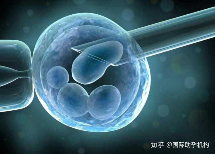 借卵指定上海十月幸孕,2022上海仁济医院借卵做试管婴儿费用解读?