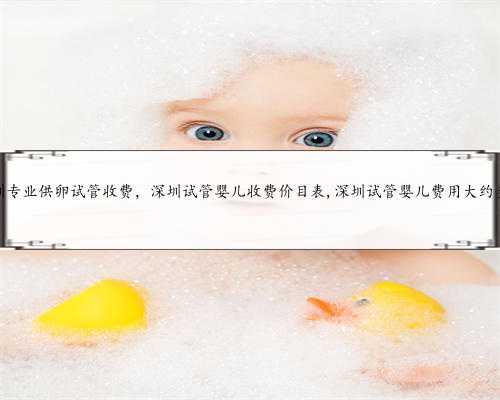 2023上海三代试管借卵代怀生男孩单周费用明