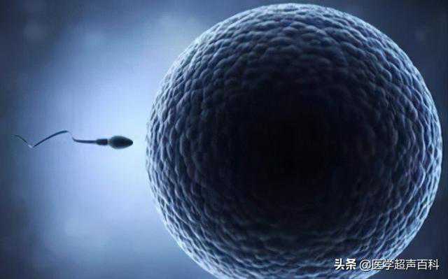 广州供卵自怀费用明细,广州中山一院供卵做三代试管婴儿要排队等多久？