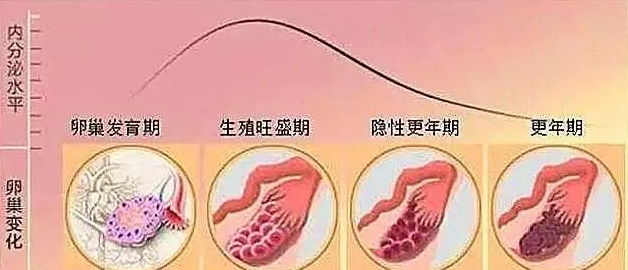 广东供卵代孕包成功_卵巢功能减退，难道这辈子真的要不了孩子了吗？