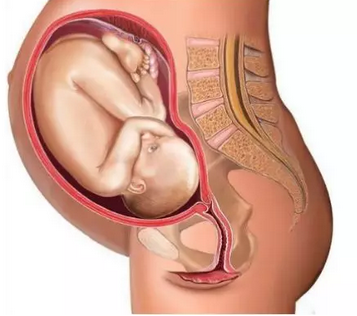 西安代孕公司哪里成功率最高_产后如何知道子宫是否恢复原状？
