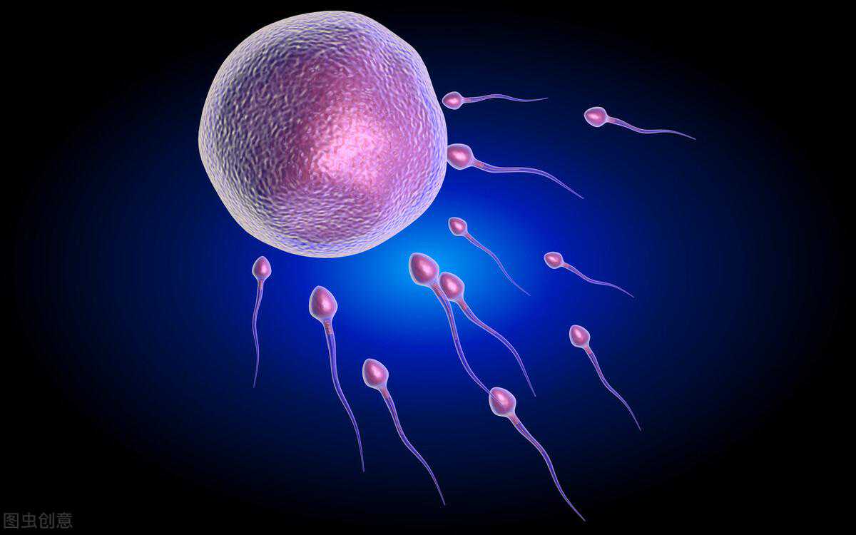 西安代孕有没有犯法_精子和卵子结合需要多长时间